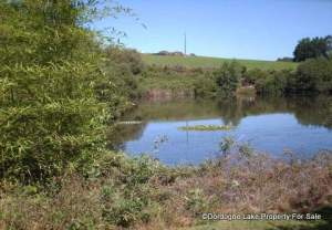 Lily ponds on main lake #dordognelakeproperty